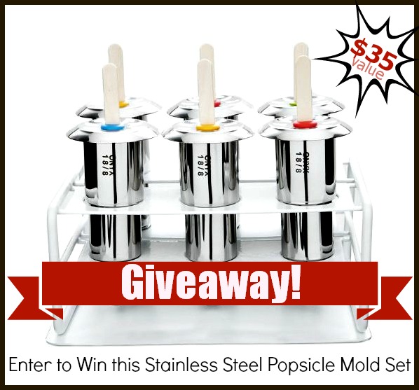 Onyx 18/8 Stainless Steel Popsicle Mold Set ~ $34.95 Value