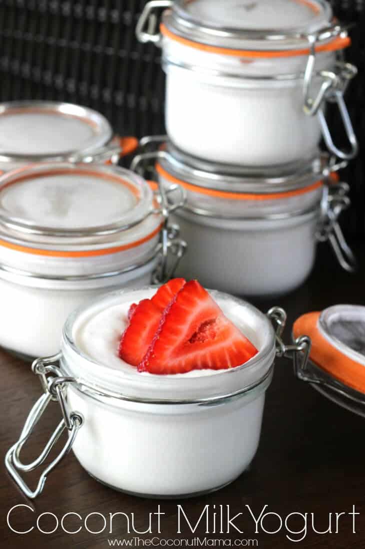 Coconut Yogurt Recipe Easy 4 Ingredient Recipe!