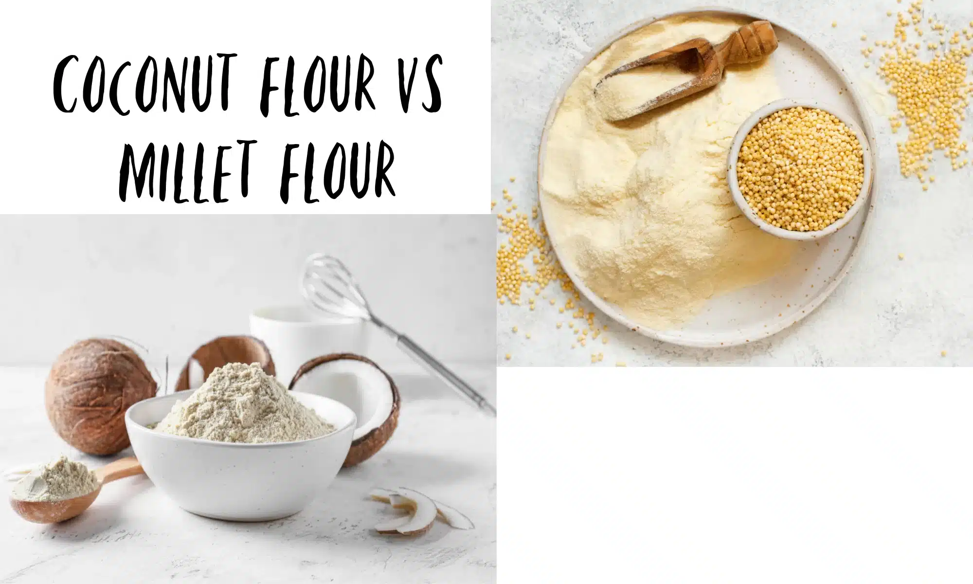 Coconut Flour vs Millet Flour Full Details The Coconut Mama