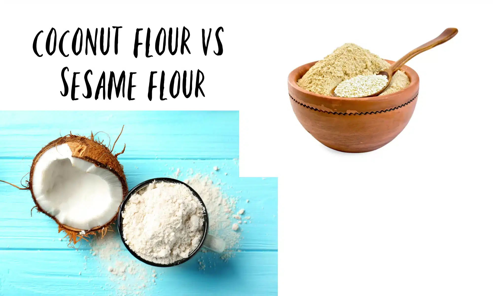 Coconut Flour vs Sesame Flour Everything You Need to Know The