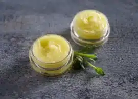 Two small jars of coconut oil lip balm with a green leaf posed between them