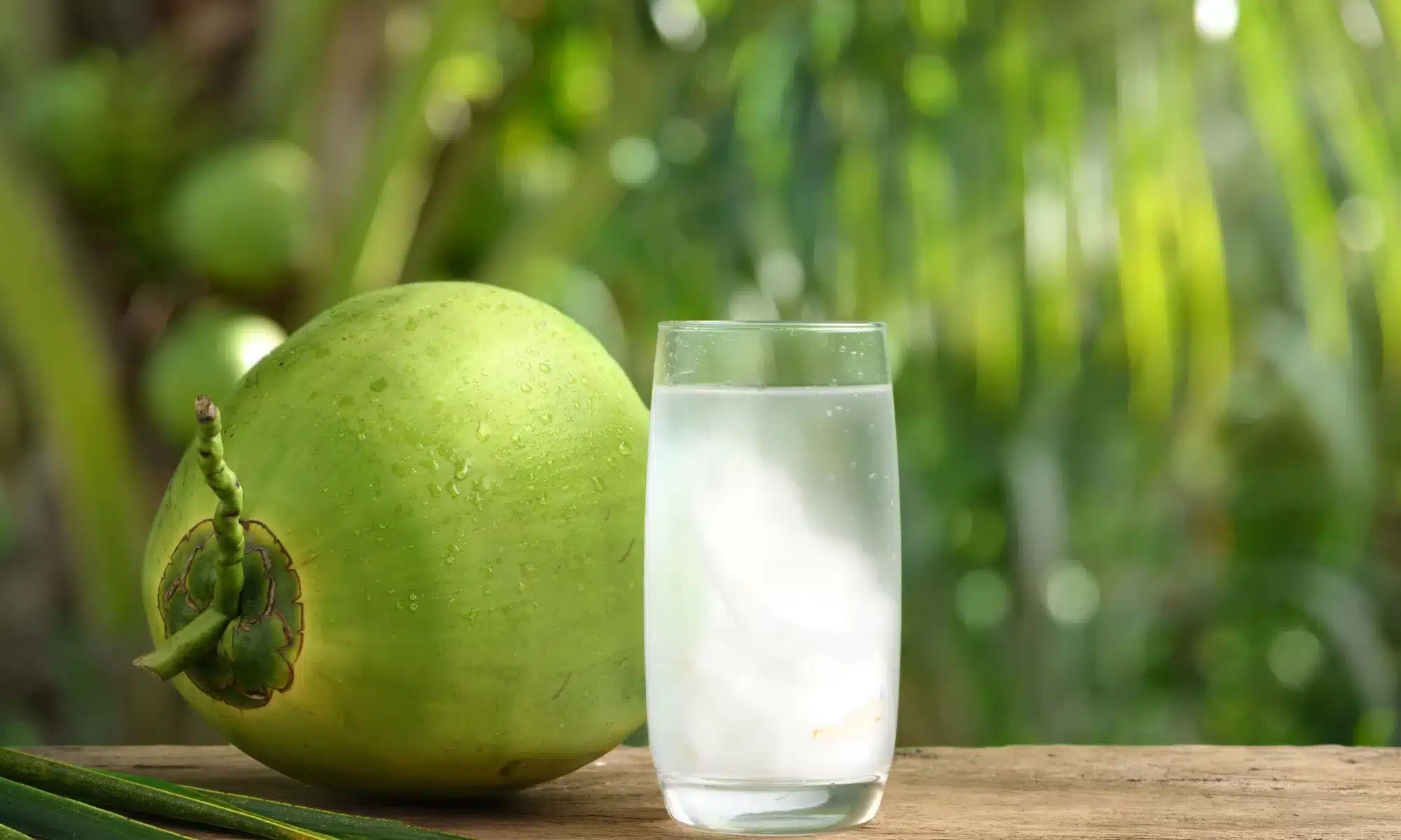 Is Coconut Water Low FODMAP The Coconut Mama