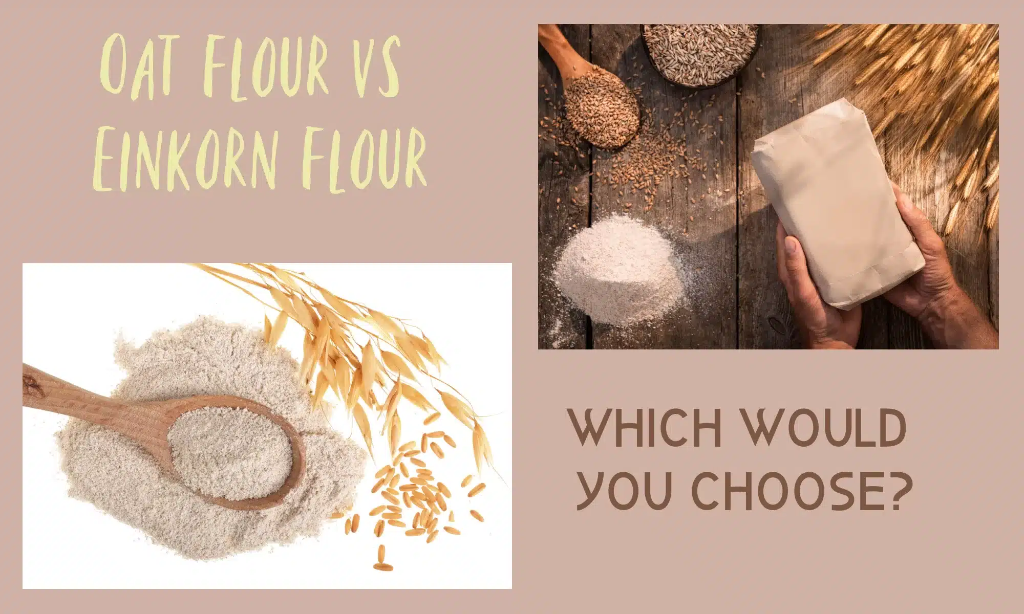 Oat Flour vs Einkorn Flour Everything You Need to Know The Coconut Mama