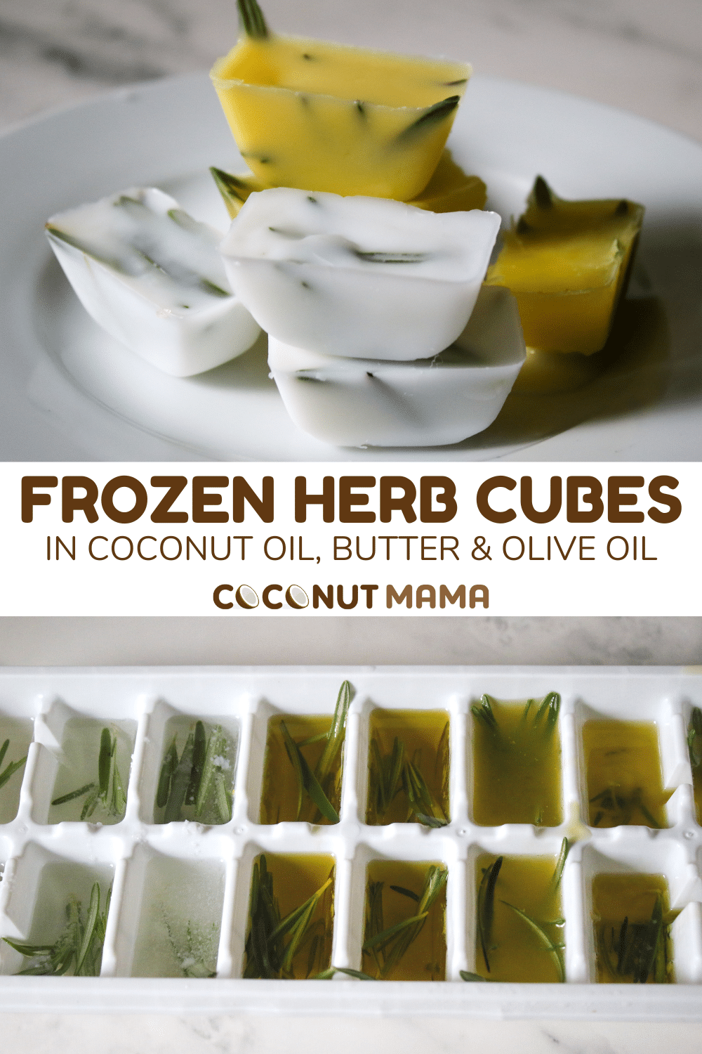 Frozen Herb Cubes with Coconut Oil, Butter, and Olive Oil