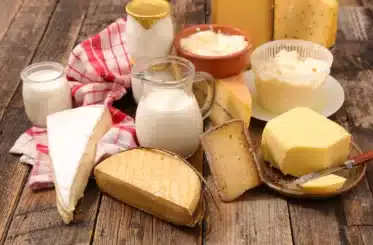 Vermont dairy plant closes, affecting about 80 workers