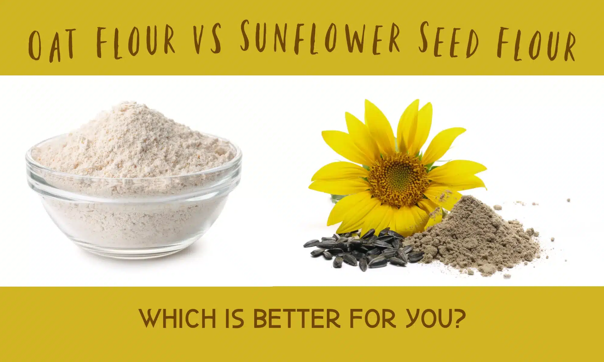 Oat Flour vs Sunflower Seed Flour Which Is Better? The Coconut Mama