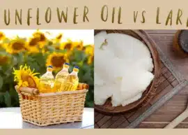 A wicker basket with bottles of sunflower oil on a sunflower plantation backdrop. Top view of a of lard alongside a wooden spoon and grinder.