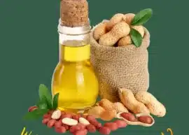 Peanut oil in a bottle alongside a burlap bag full of raw peanuts and some more spilled around. Thetext reads, "What is peanut oil?"