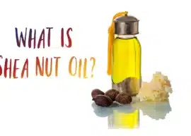 A selection of shea nut products including oil, butter, and nuts. The text reads, "What is shea nut oil?"