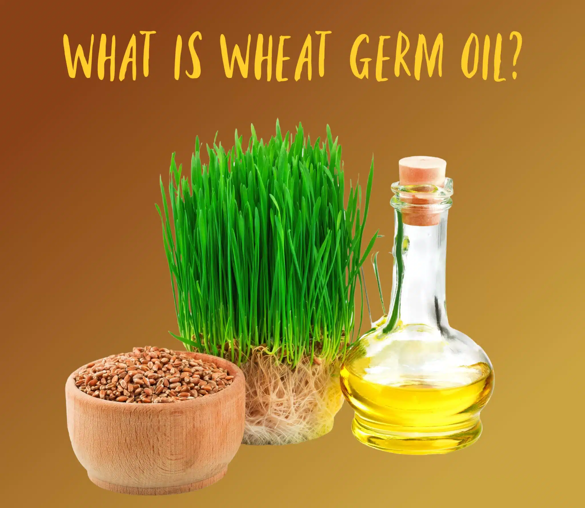 What Is Wheat Germ Oil? The Coconut Mama
