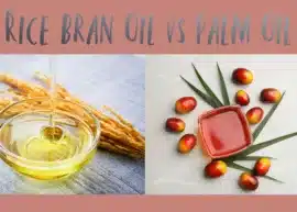 Rice bran oil falling into a glass bowl accompanied by some rice ears. A bowl of palm oil surrounded by palm nuts and leaves.