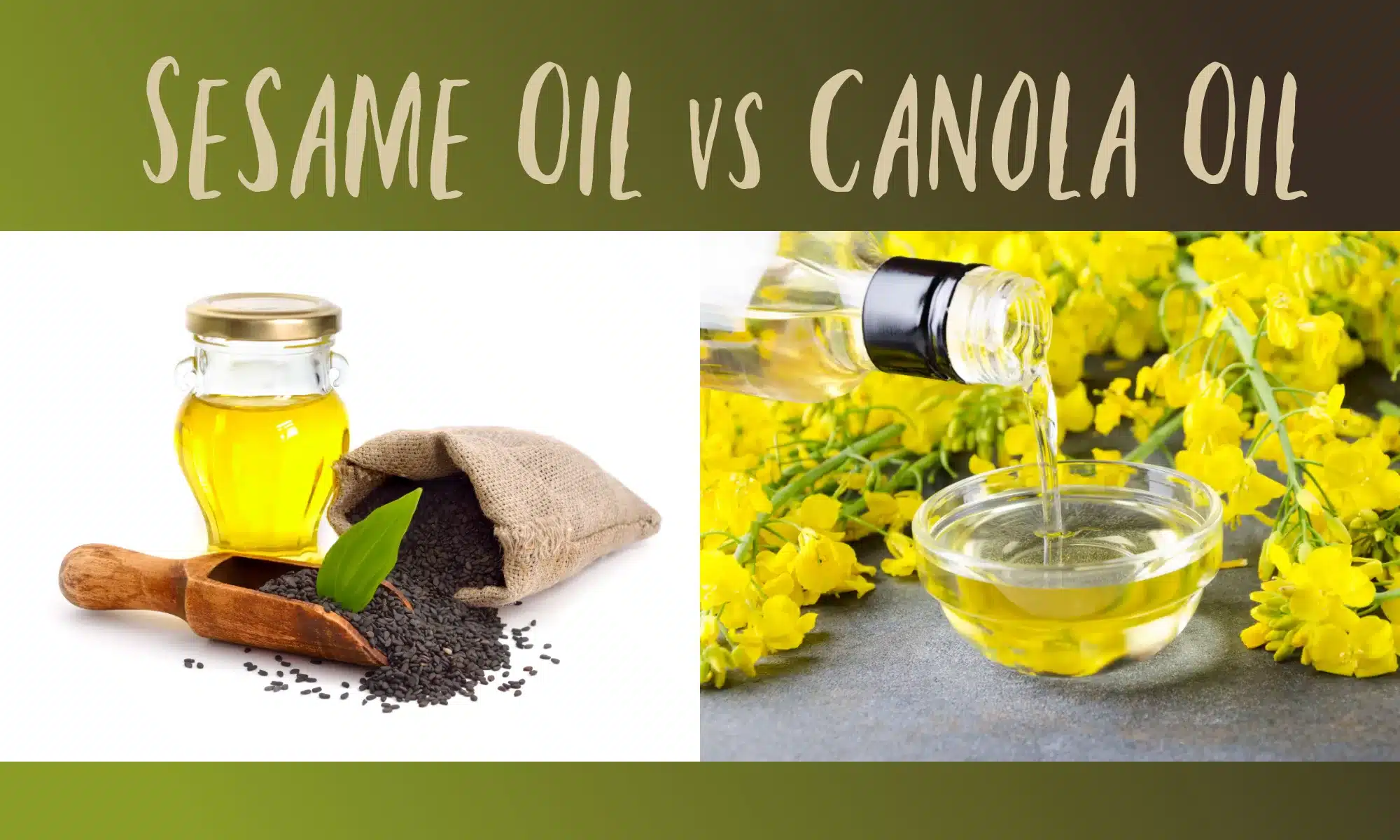 Sesame Oil vs Canola Oil Which is Better? The Coconut Mama