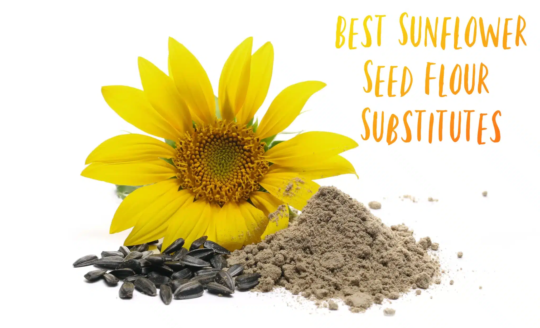The 5 Best Sunflower Seed Flour Substitutes For Any Occasion The
