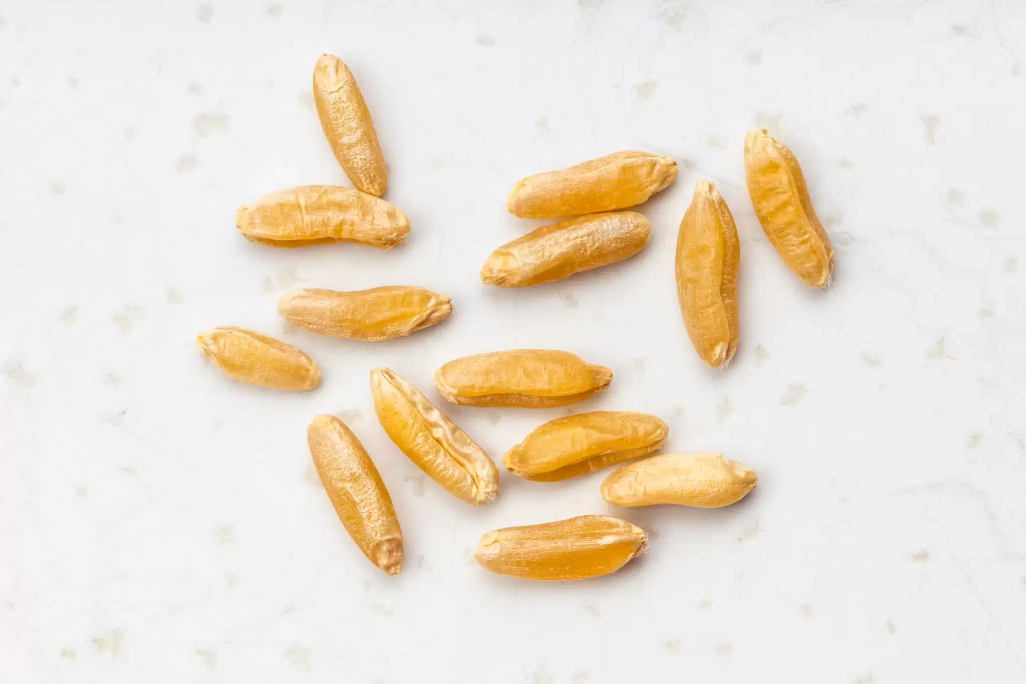 Close-up of a few grains of kamut.