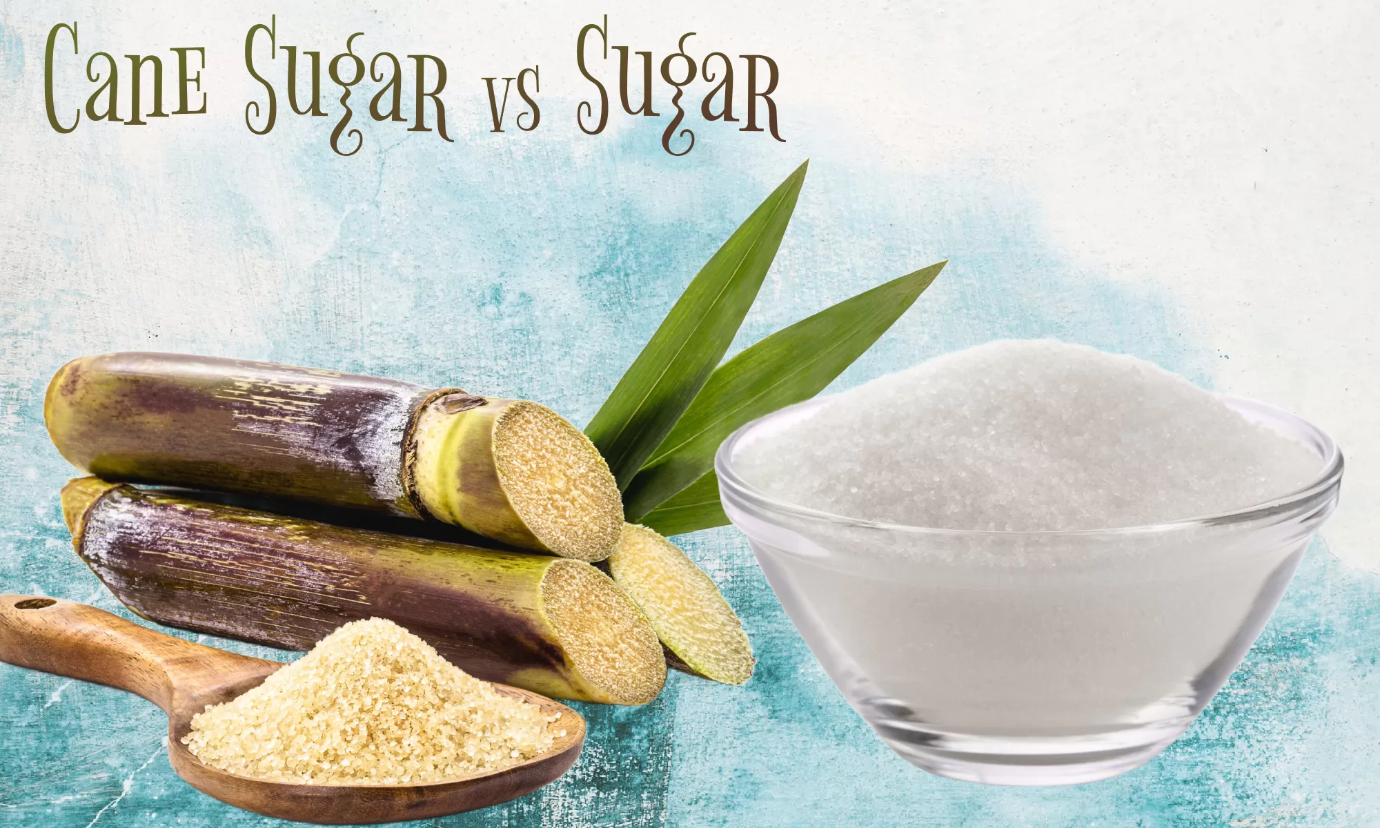 What s The Difference Between Cane Sugar And Sugar TAFT Independent