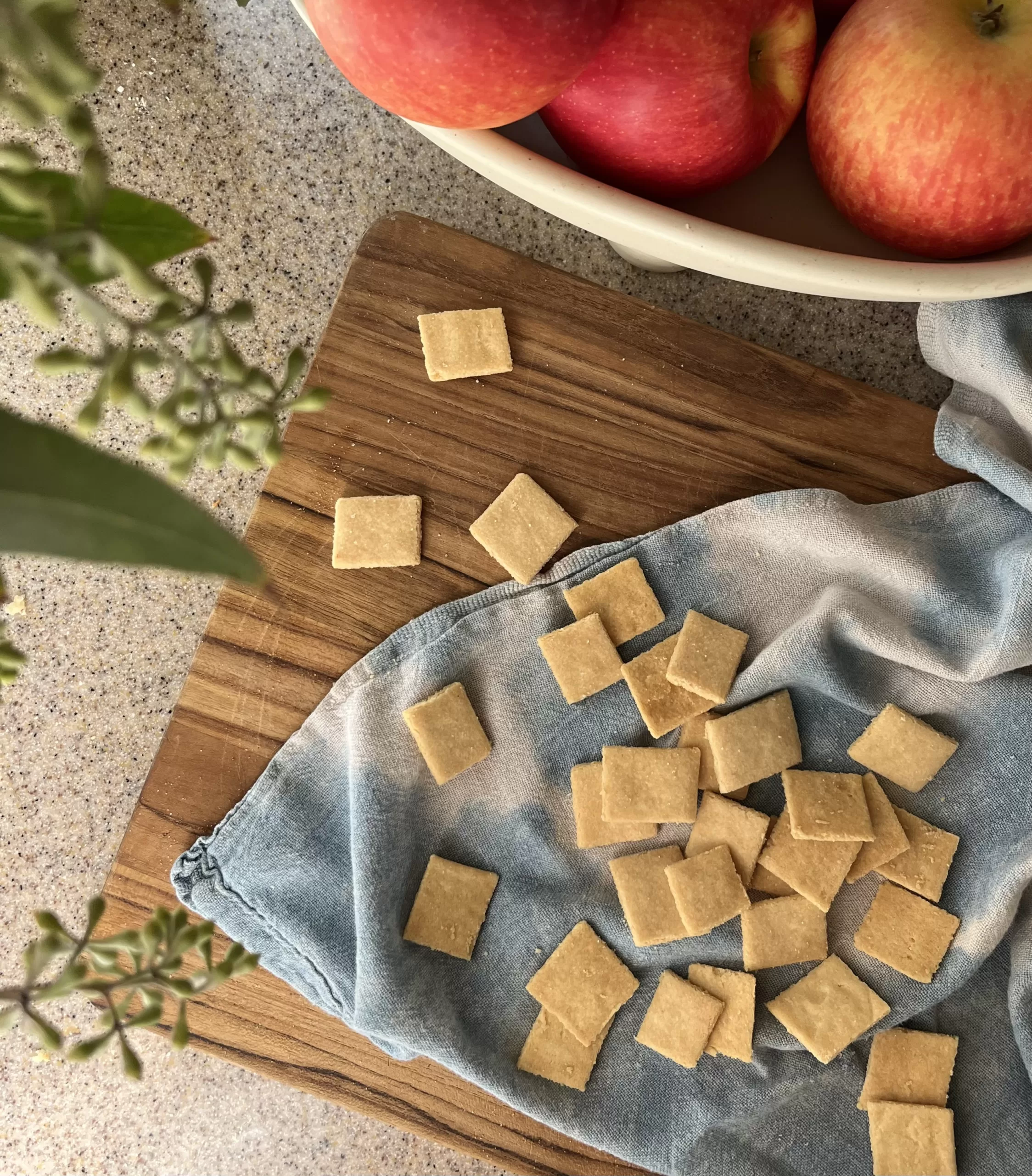 Almond Flour Crackers (KetoFriendly!) The Coconut Mama