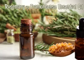 Two droppers of rosemary or frankincense essential oil, a sprig of rosemary, and a spoonful of frankincense resin resting flanked by rosemary branches.