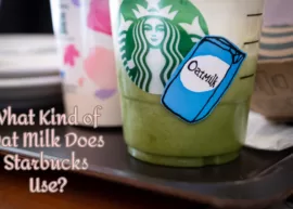 A close-up of a Starbucks beverage made with oat milk. The text reads, "What Kind of Oat Milk Does Starbucks Use?"