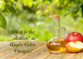 An outdoor background showcasing a jug of apple cider vinegar and a few apples. The text reads, "What is the "Mother" in Apple Cider Vinegar?"