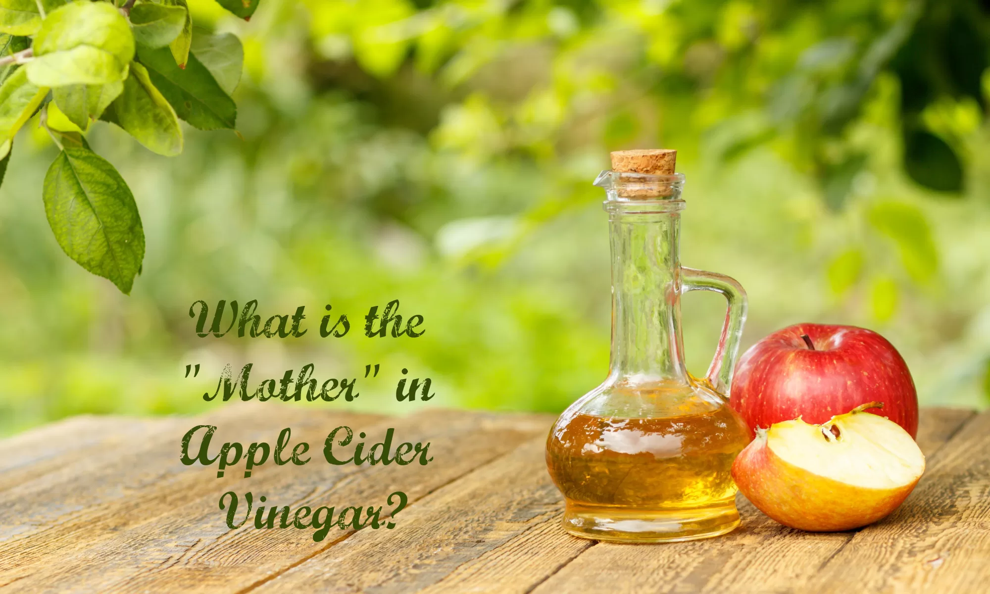 What is the "Mother" in Apple Cider Vinegar? The Coconut Mama