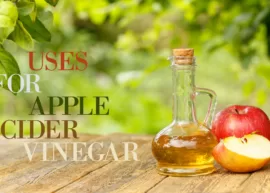 An outdoor background showcasing a jug of apple cider vinegar and a few apples. The text reads, "Uses for Apple Cider Vinegar."
