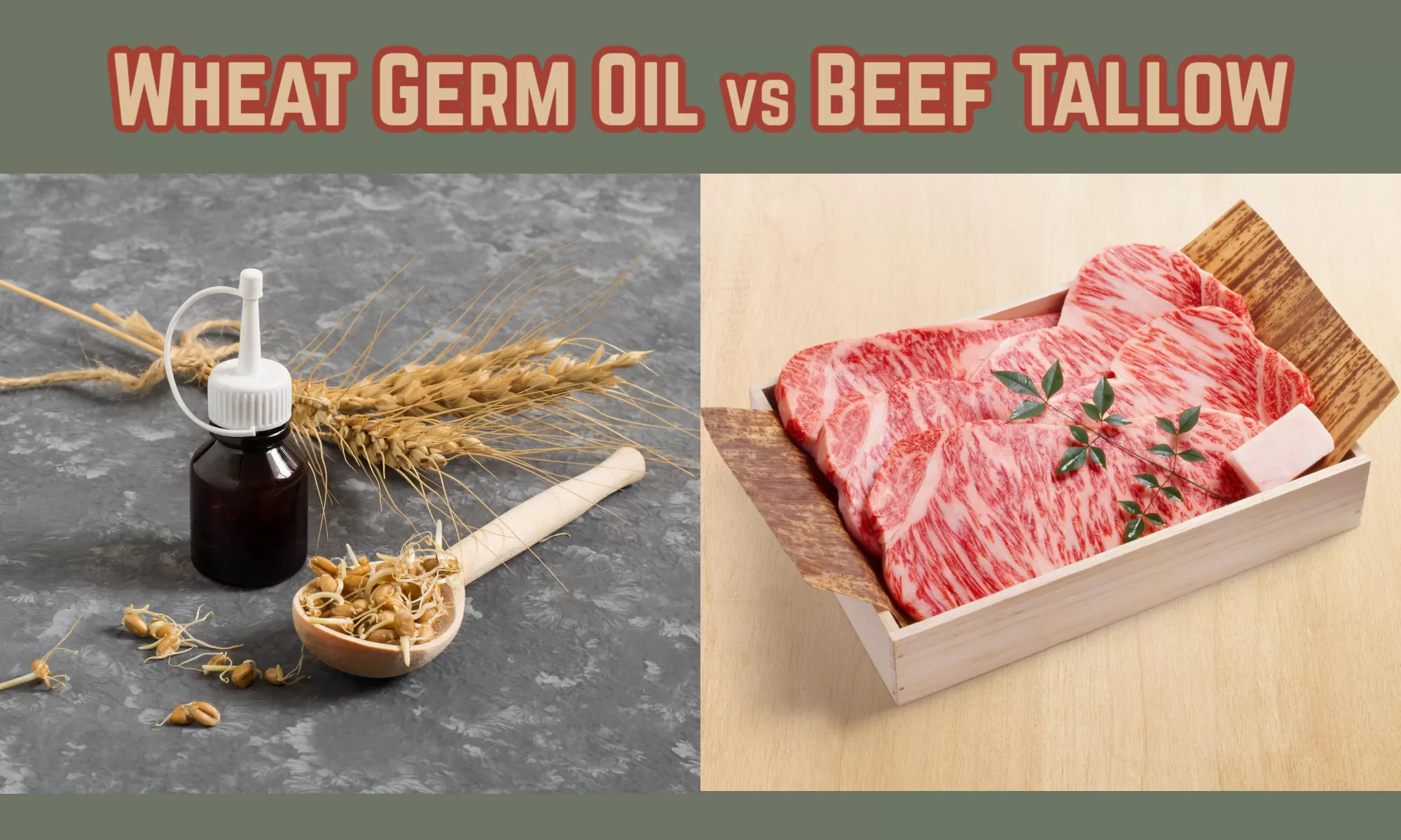 Wheat Germ Oil vs Beef Tallow Which Is Better? The Coconut Mama