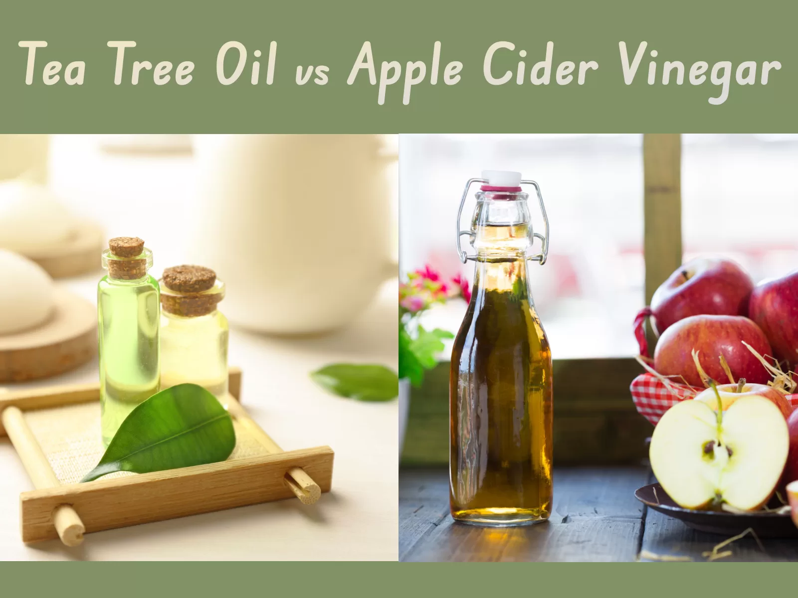 Tea Tree Oil vs Apple Cider Vinegar The Coconut Mama