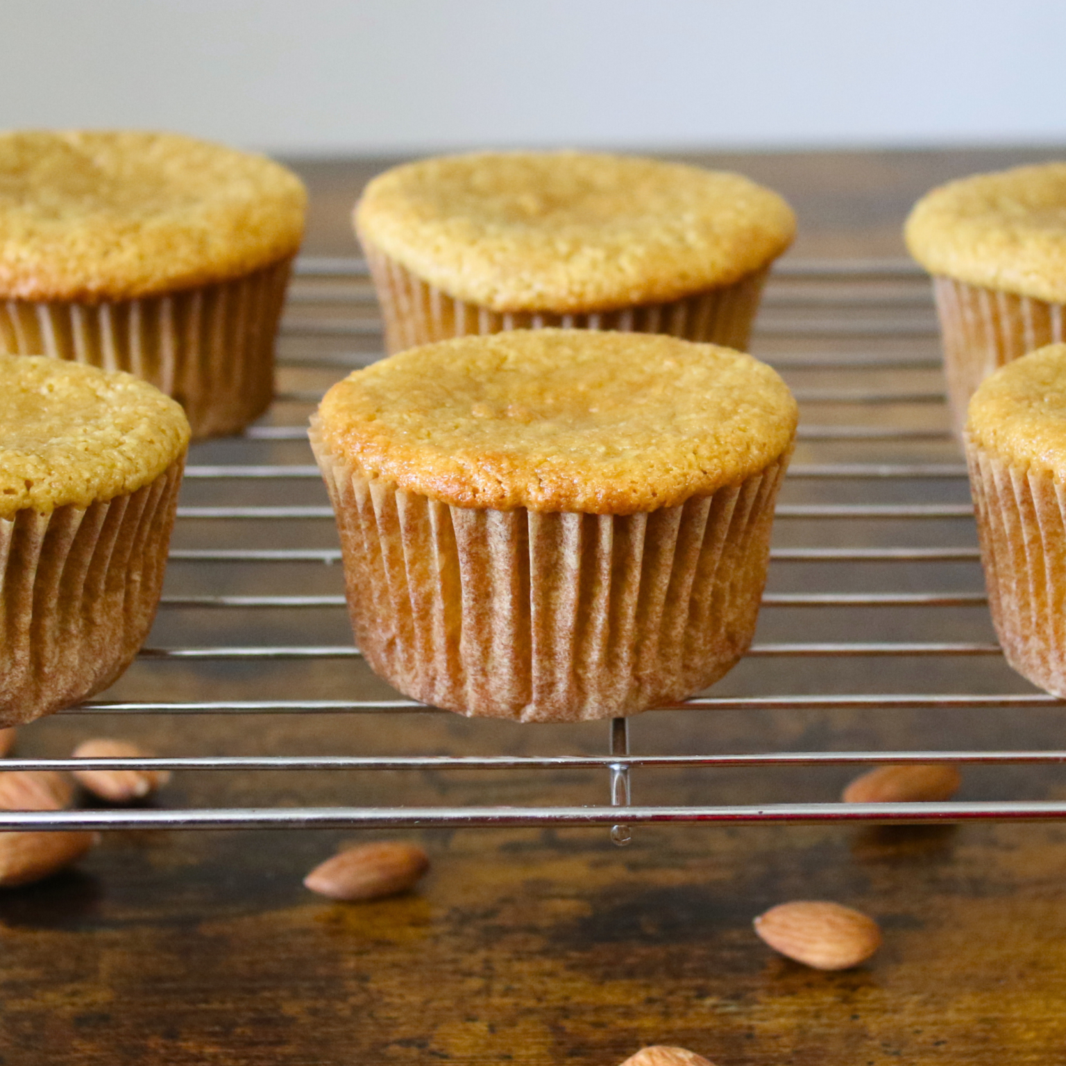 The Perfect Almond Flour Muffins - The Coconut Mama