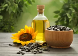 Sunflower, bottle of oil, bowl of seeds on table.