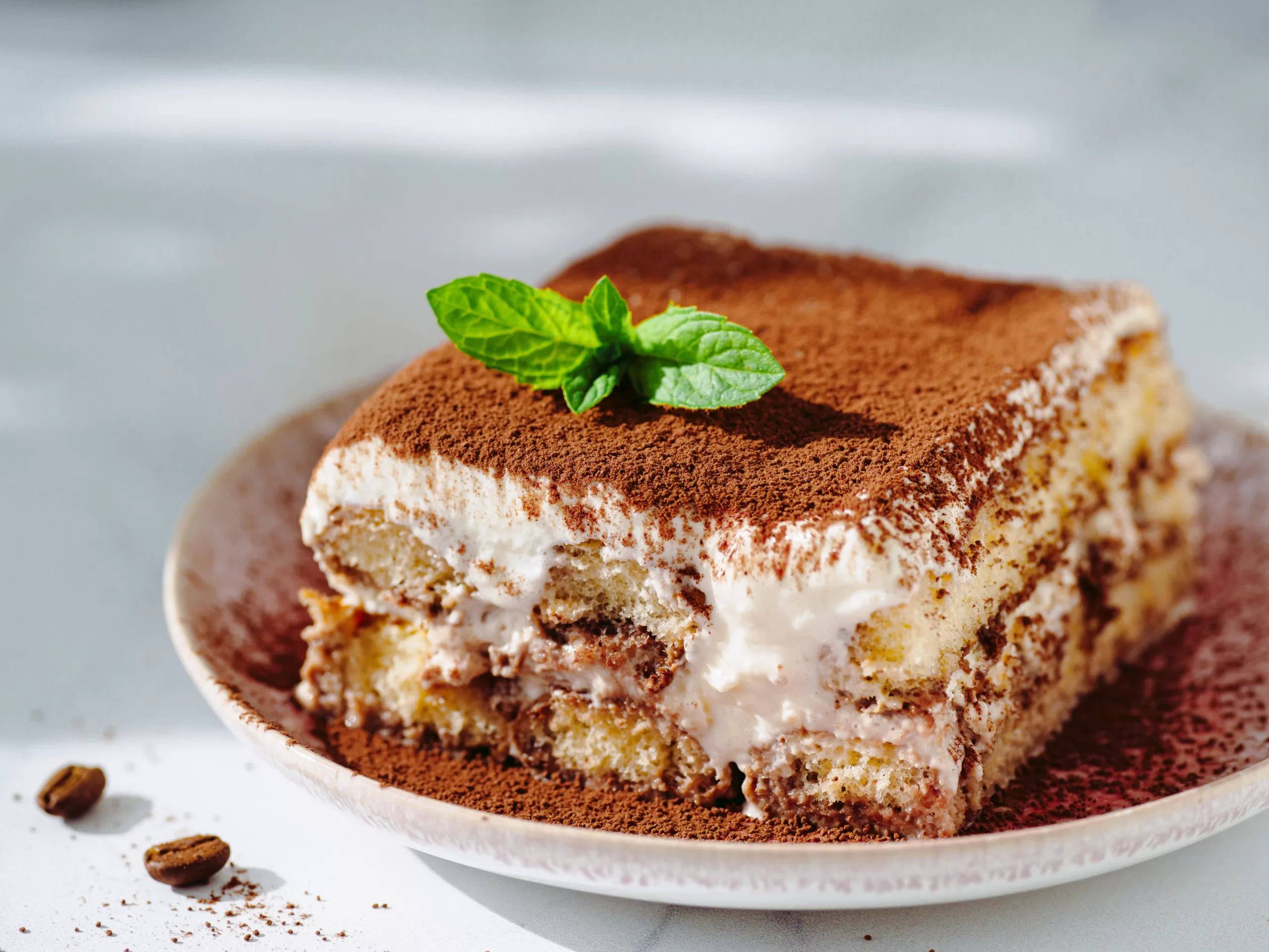 Close-up of a portion of exquisite tiramisu. 