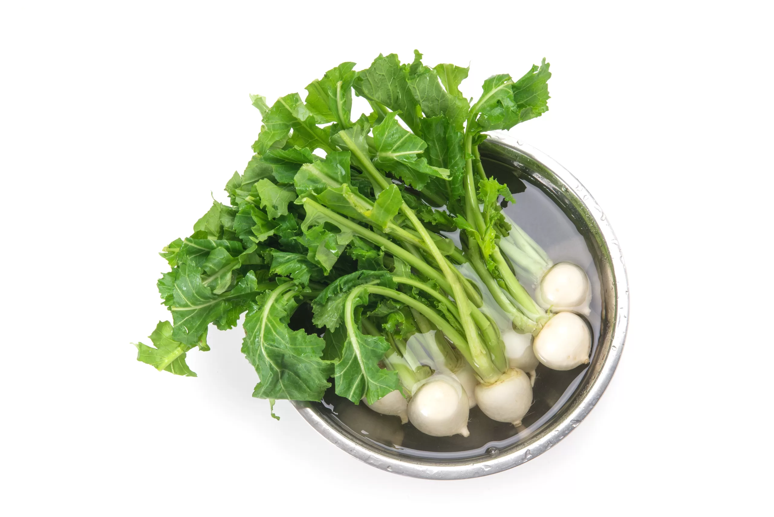 Top view of freshly harvested turnips in a bowl of water.