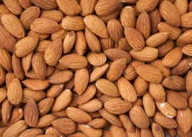 A pile of raw, unshelled almonds.