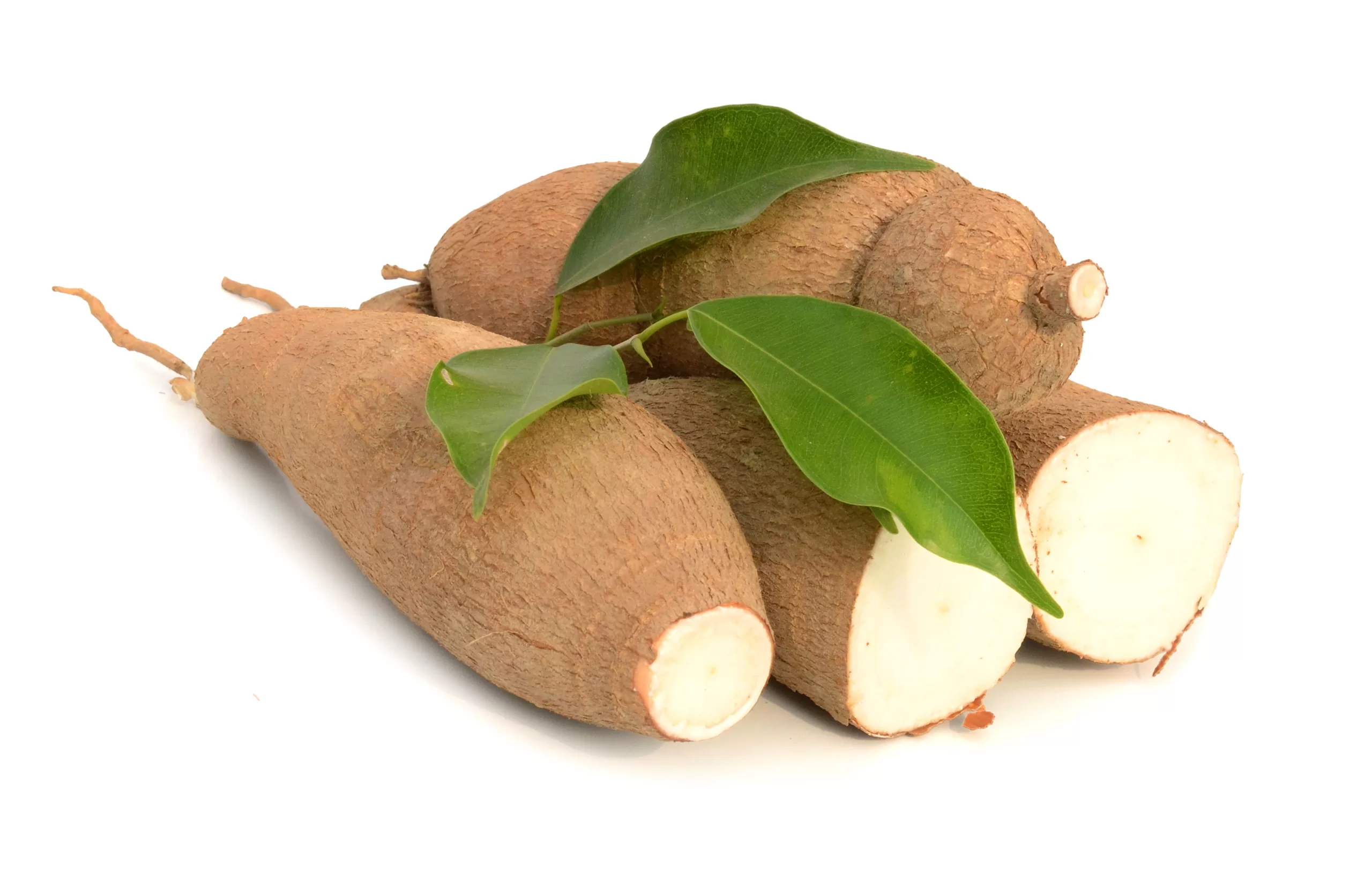 A plain background featuring a mound of fresh tapiocas. 