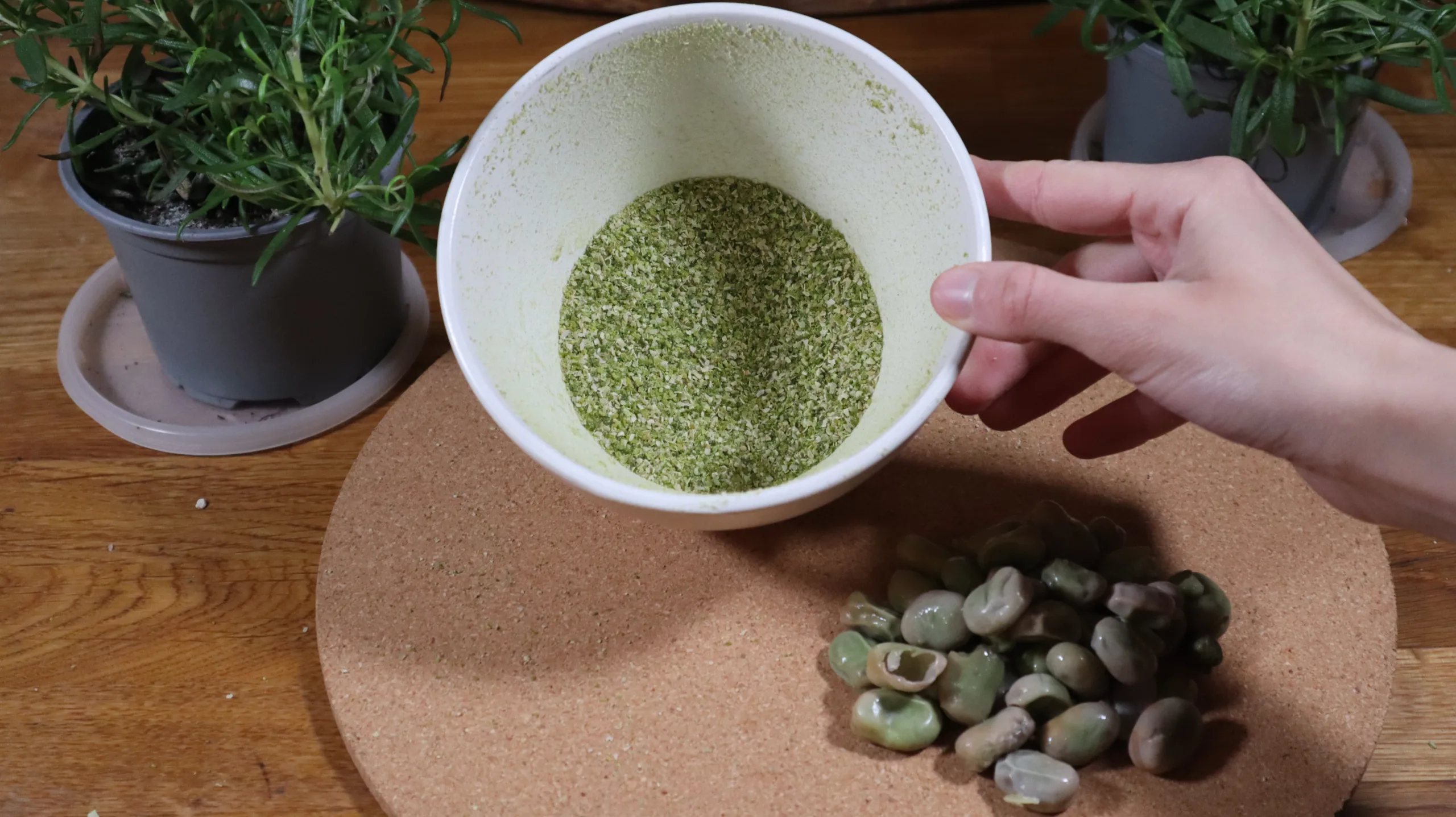 How to Make Homemade Fava Bean Flour (1 Ingredient!) The Coconut Mama