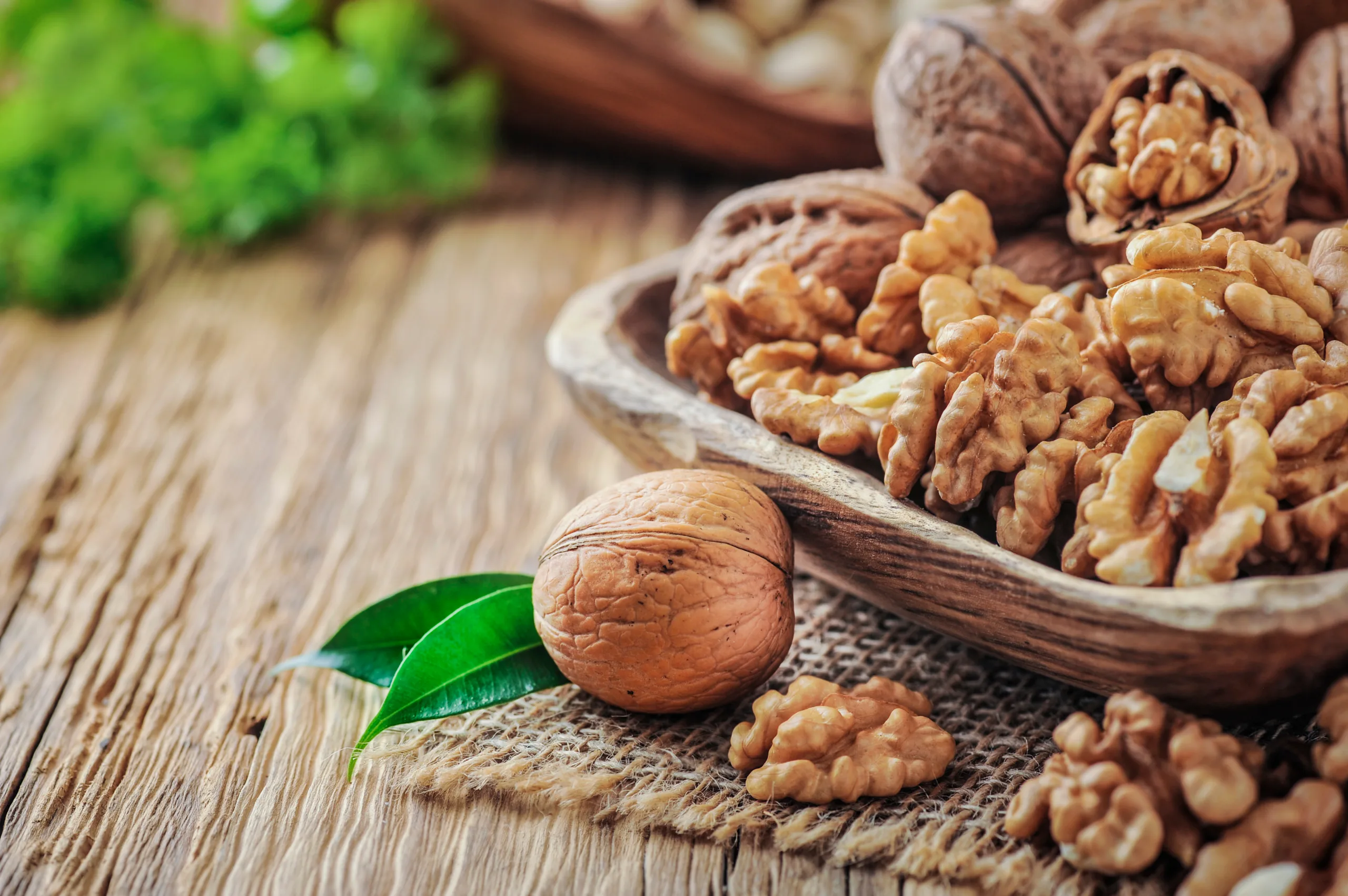A macro shot of a bowl overflowing with walnuts.