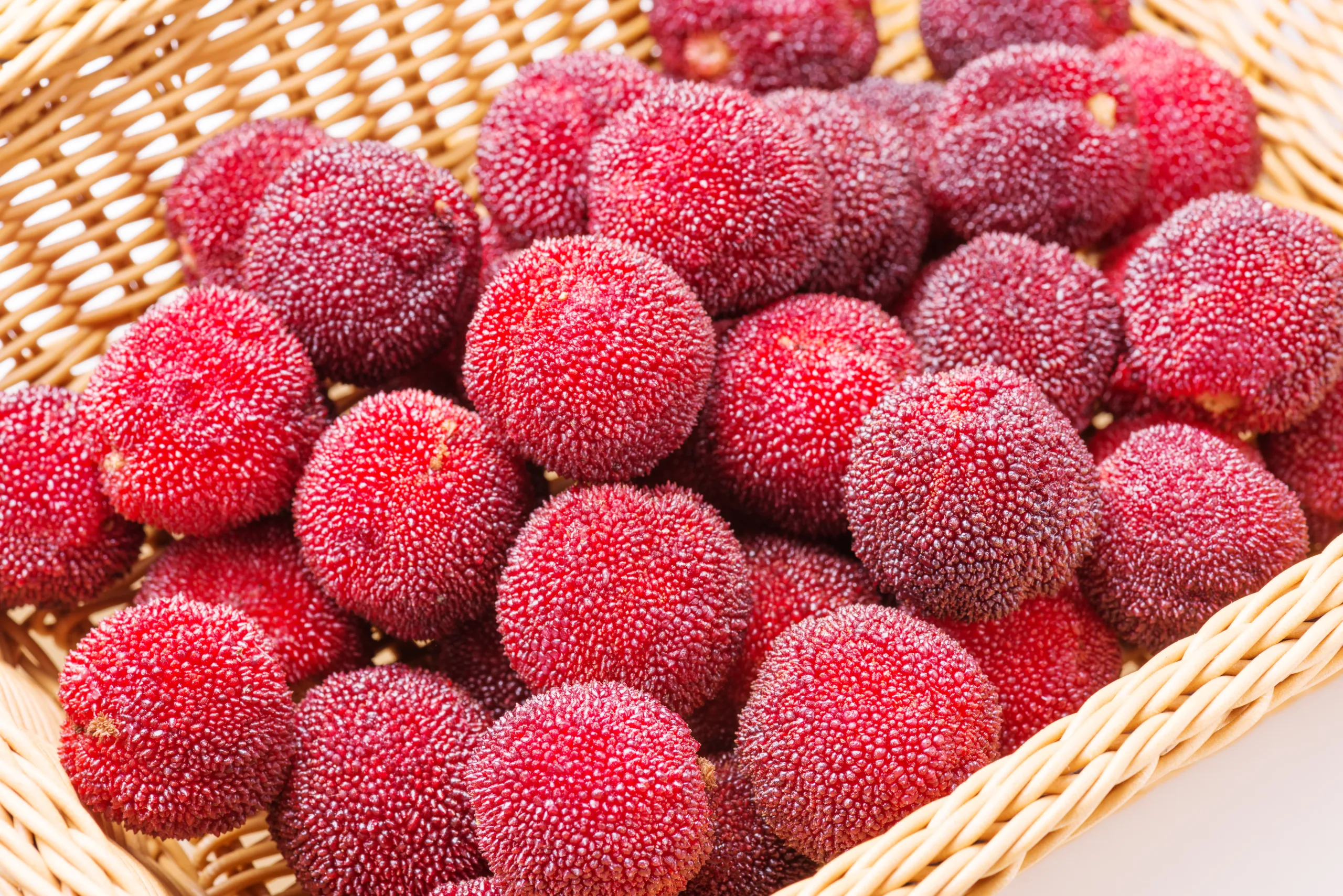 A macro shot of a basket full of waxberries.