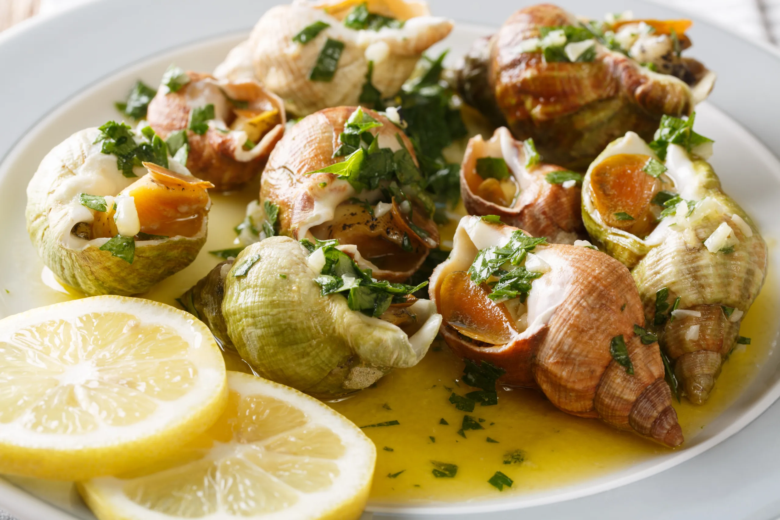 A plate of whelks with with garlic, parsley, and lemon sauce.