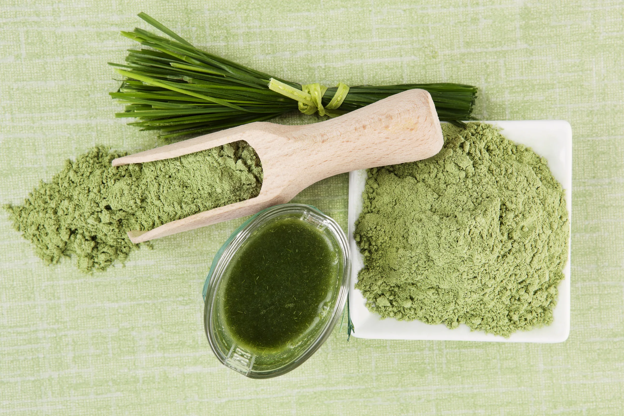 Top view of several wheatgrass items.