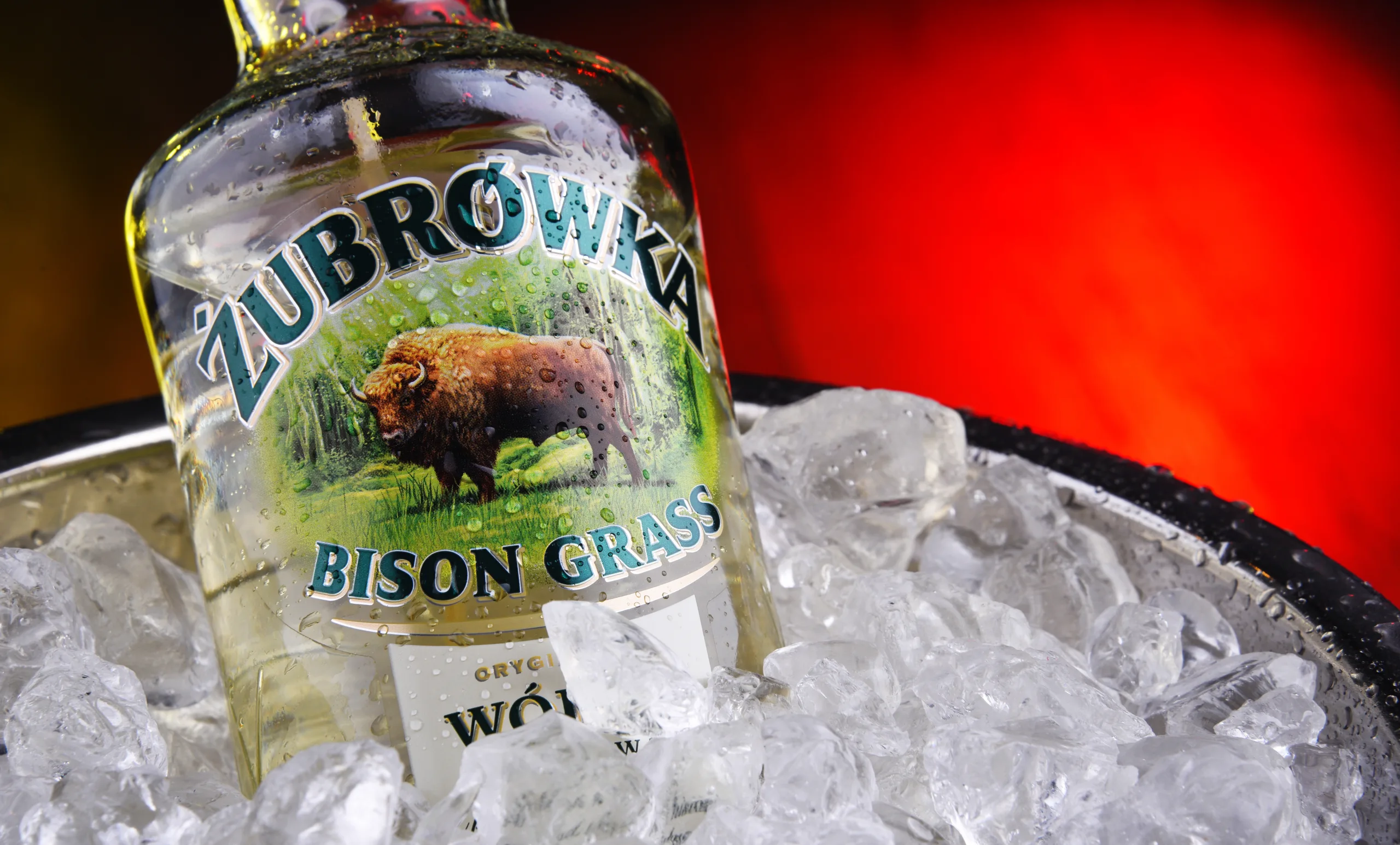 Zubrowka Bison Grass Vodka, chilled in a bucket of ice, one of the components of the zu iced tea.