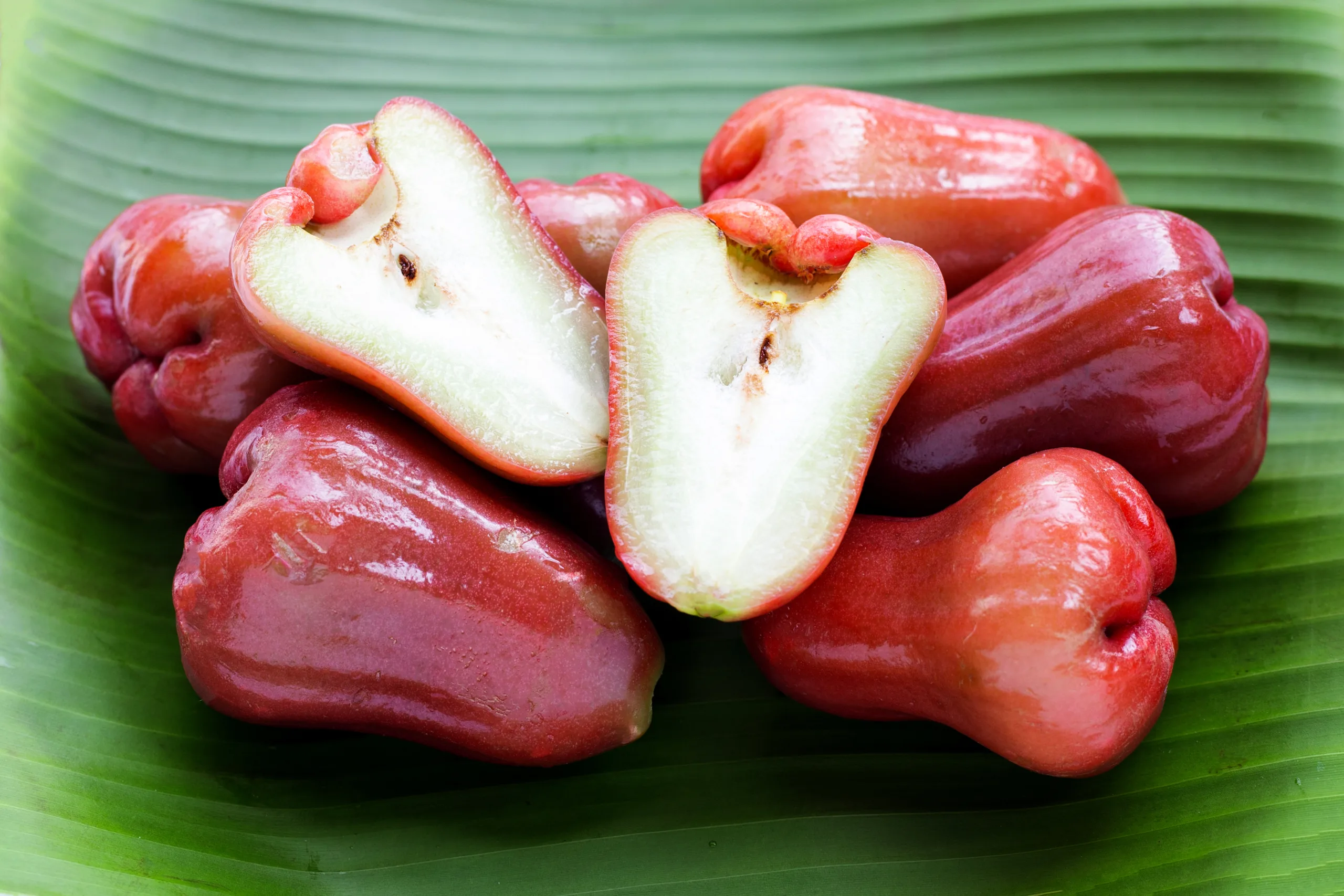 A few wax apples resting on a palm leaf.