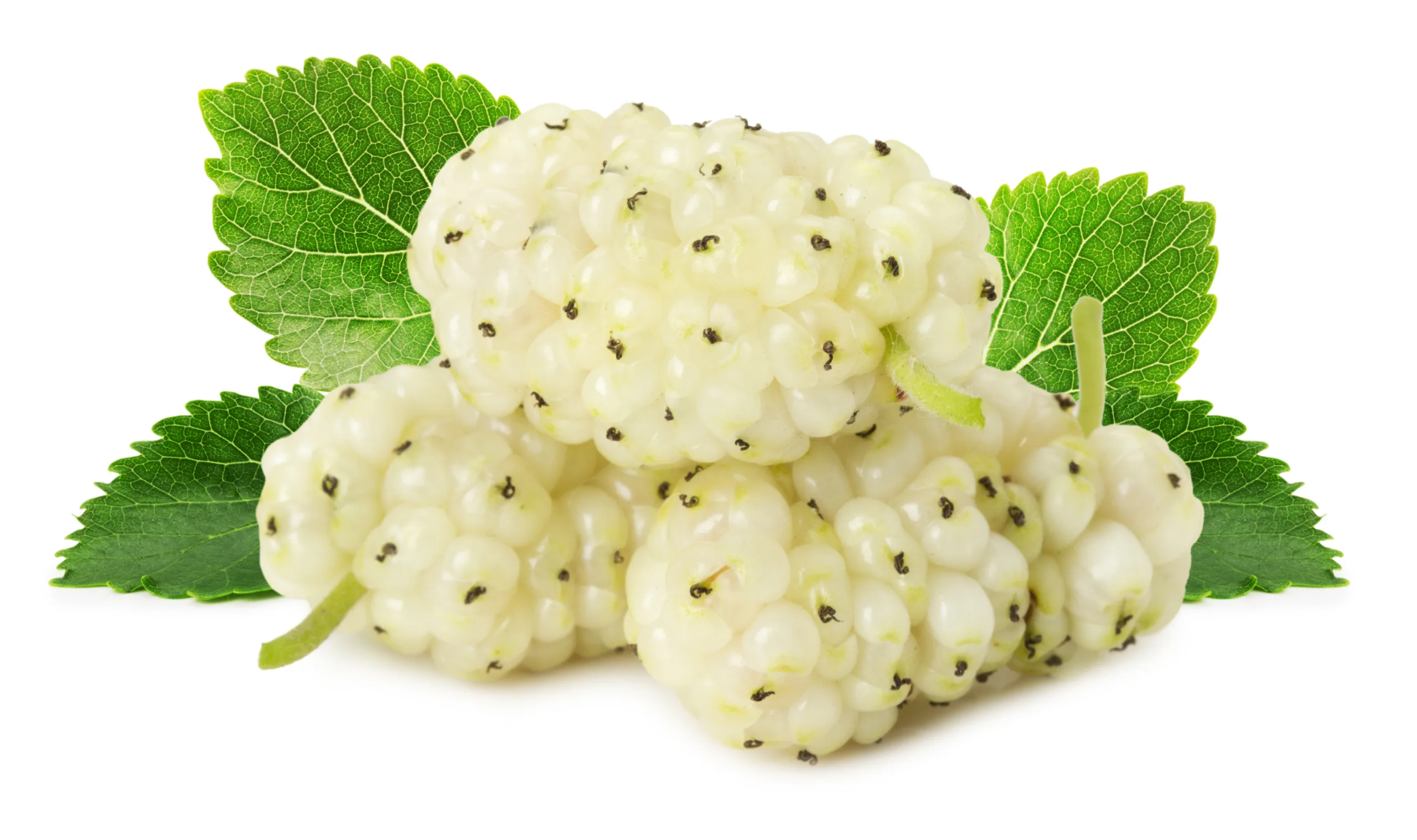 A few bunches of white mulberries on a plain background.