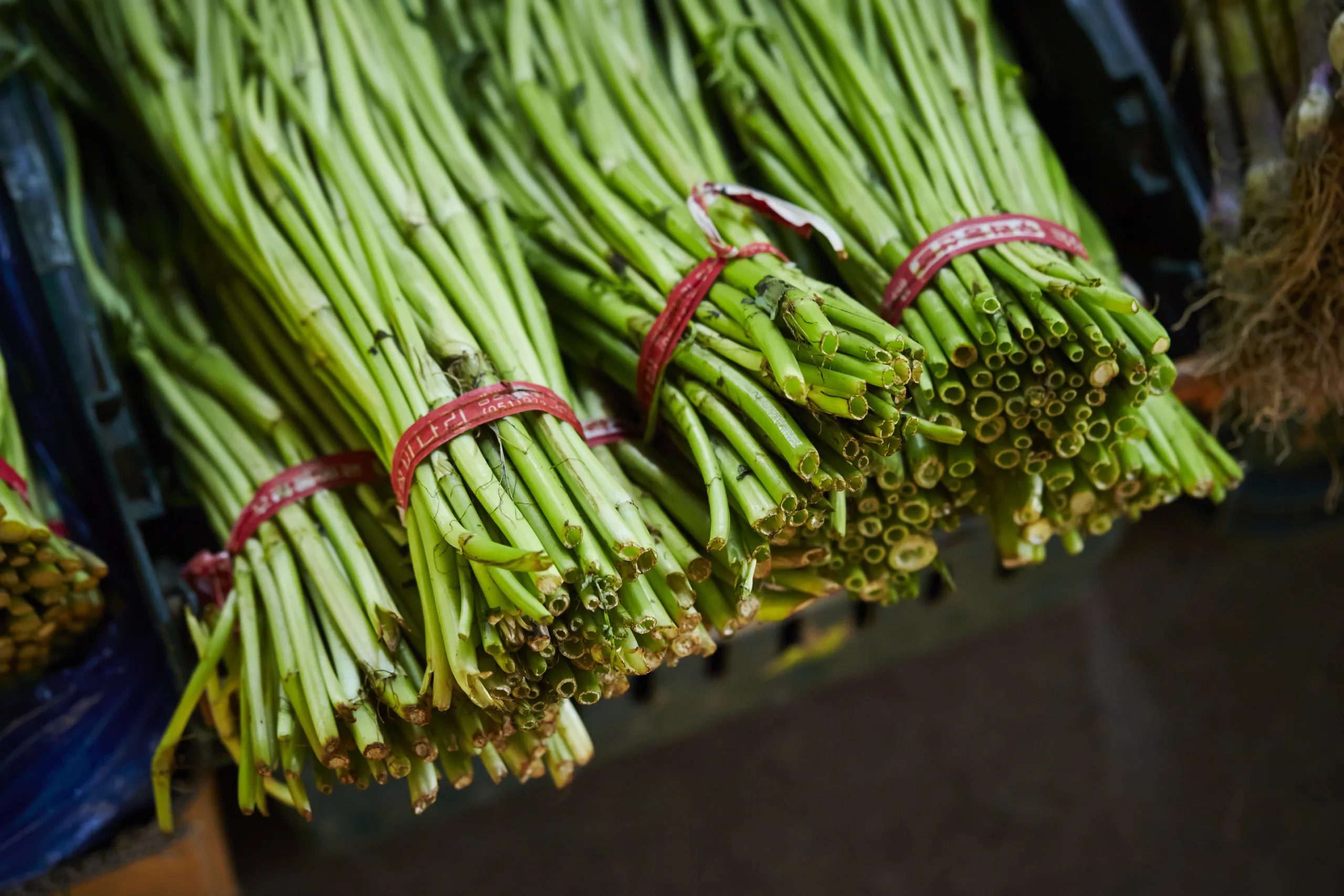 Water celery bundles on sale.