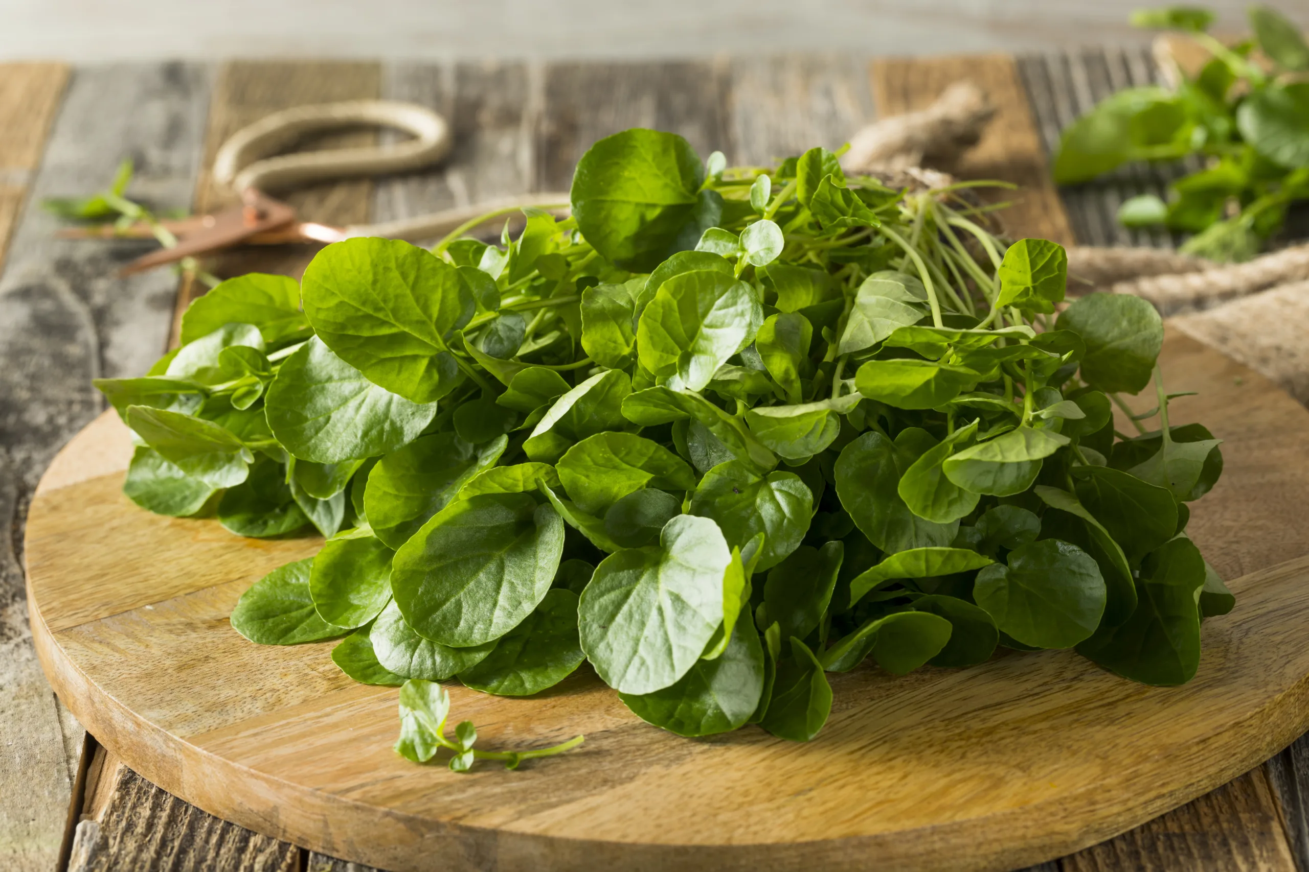 A chopping board holding a mound of watercress leaves.