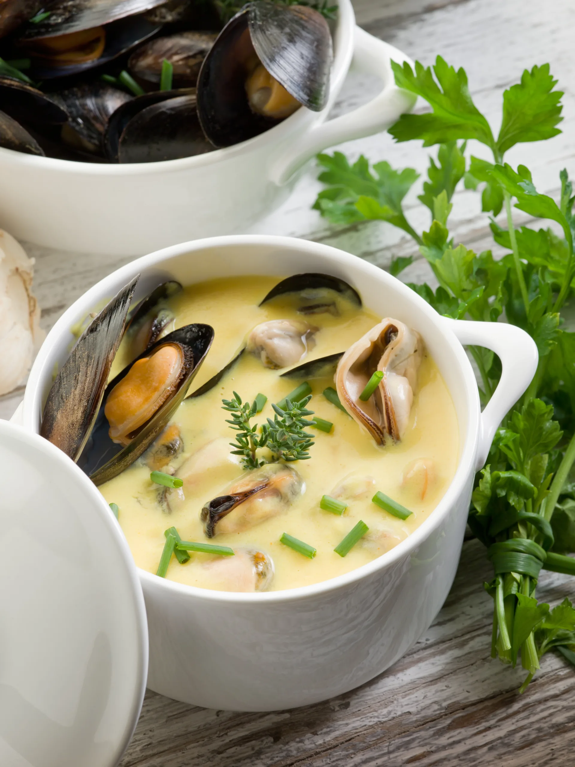 Macro shot of a pot full of white clam sauce.