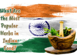 A mortar with some herbs against the Indian flag backdrop. The text reads, "What Are the Most Popular Herbs in Indian Food?"