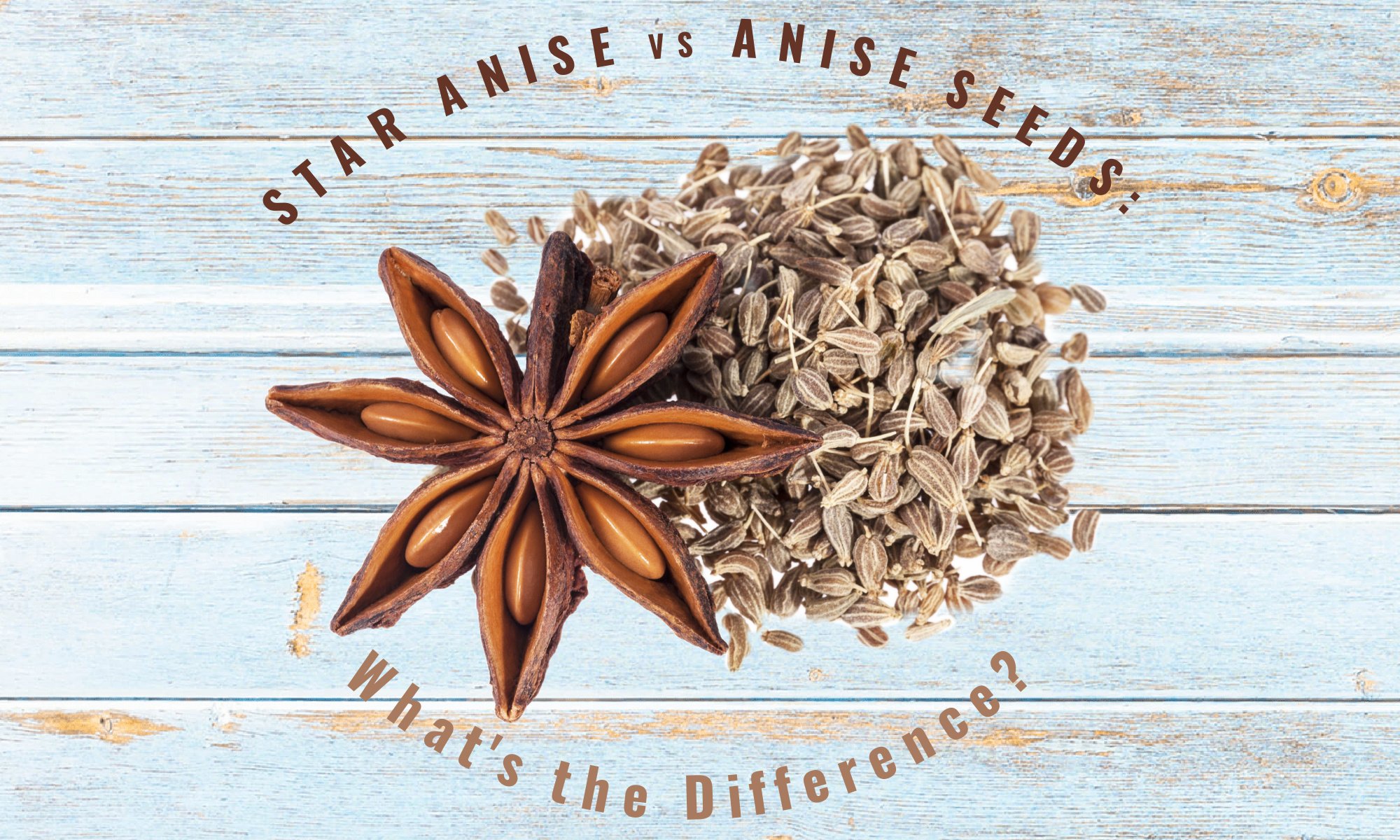 Star Anise vs Anise Seed What's the Difference? The Coconut Mama