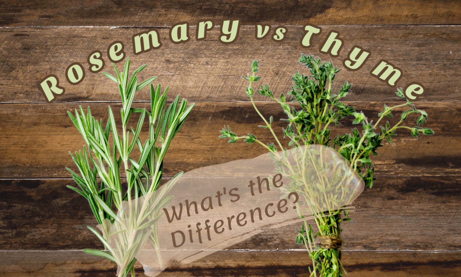 Rosemary vs Thyme What's the Difference? The Coconut Mama