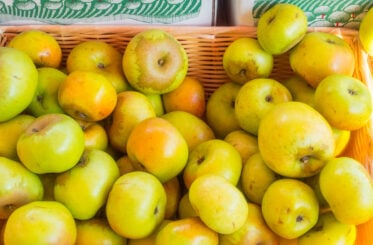 Century-old Washington fruit company lays off dozens of workers