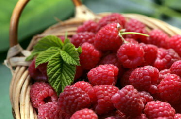 Raspberries in a bowl