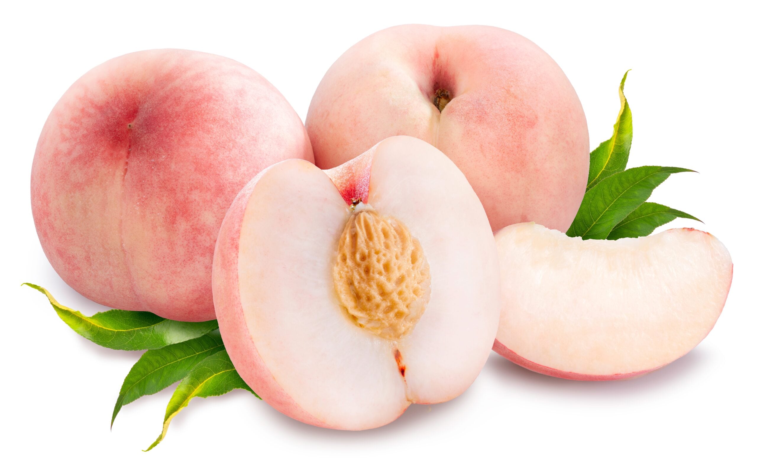 Some fresh white peaches isolated against a white backdrop. 